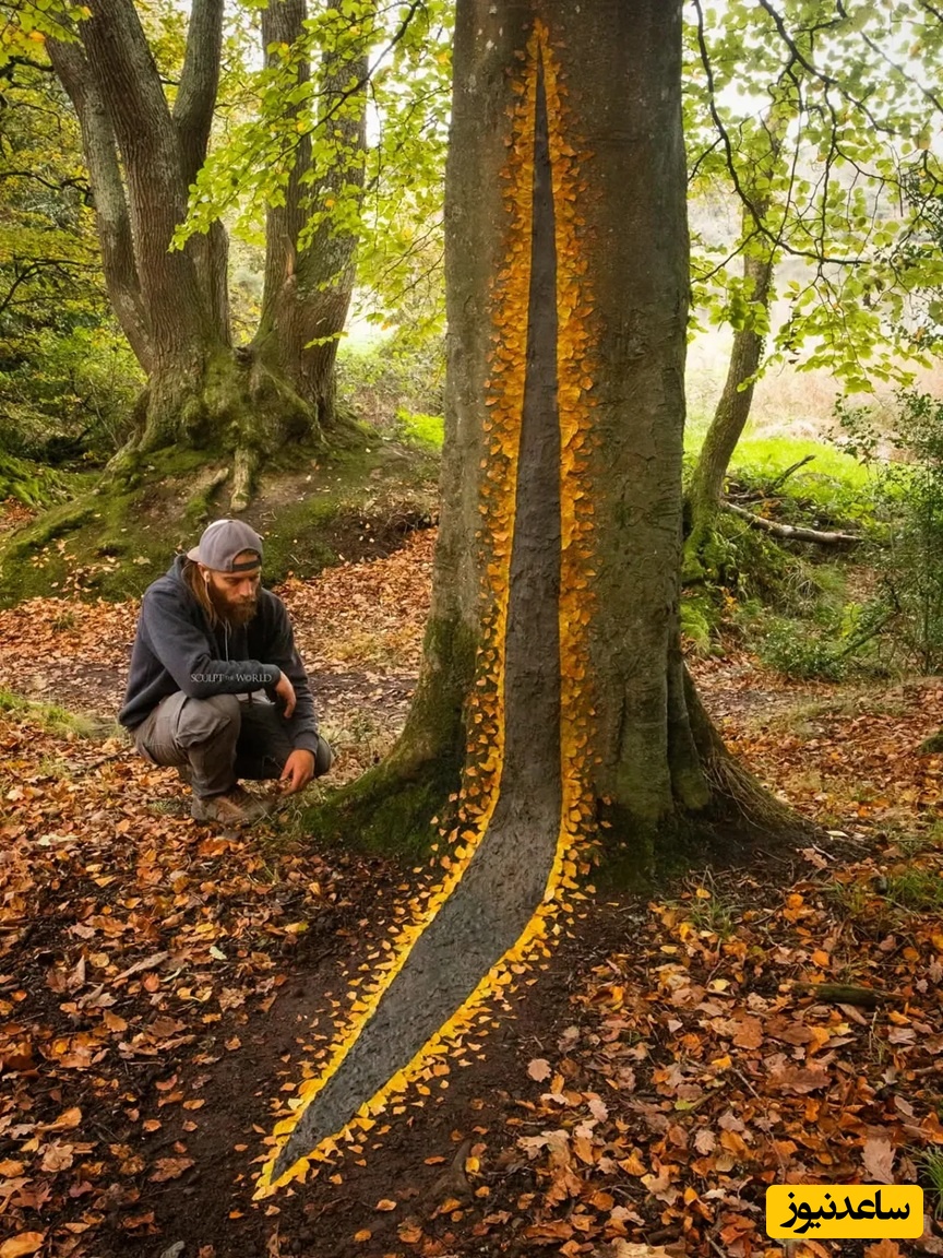 پورتال، جنگل‌های لیتِل میلفورد، ولز