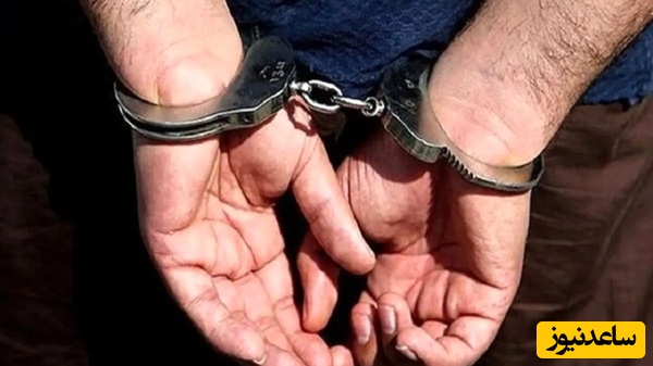 دستگیری جاسوس اروپایی در هرمزگان