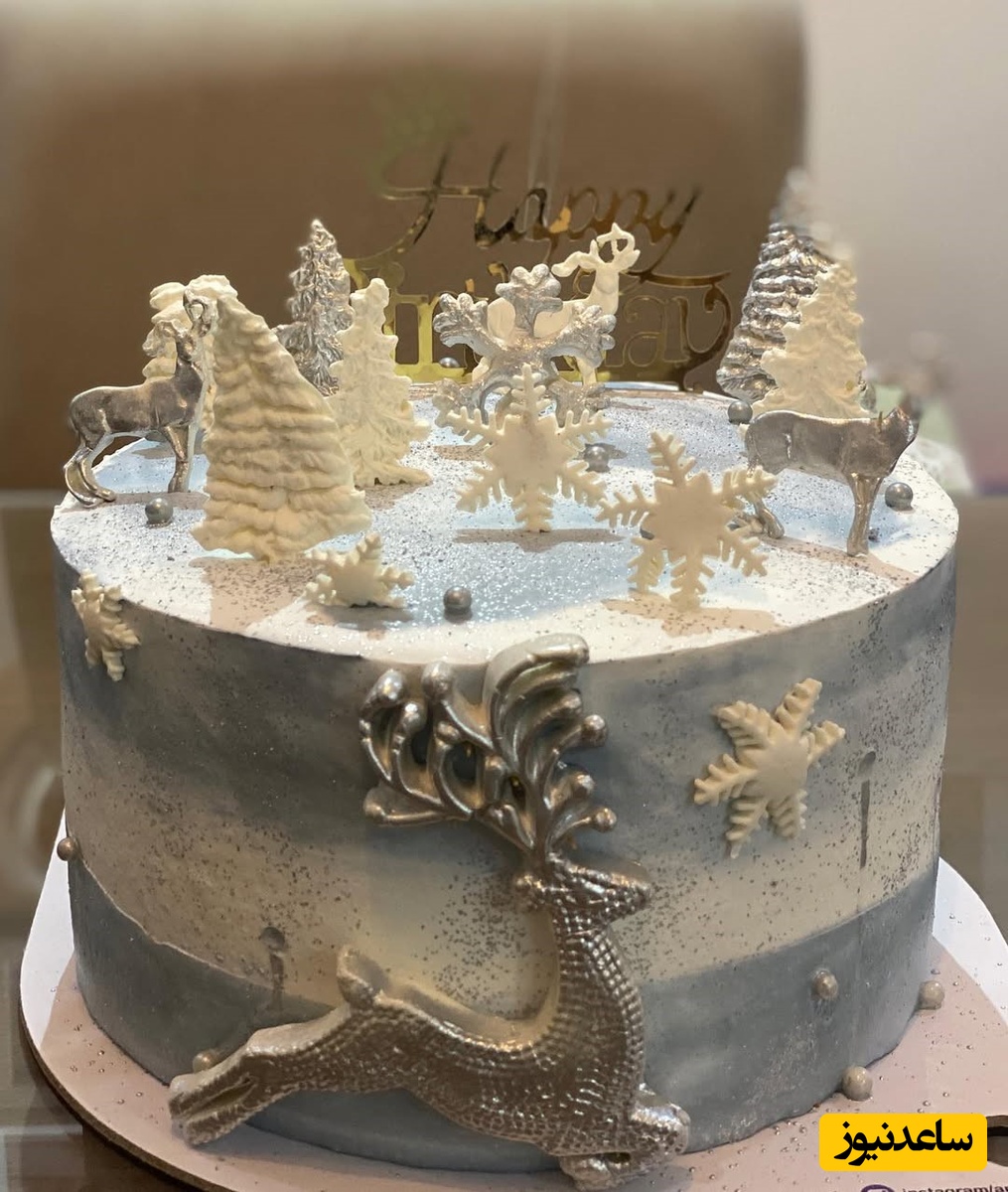 تولد سوگل طهماسبی