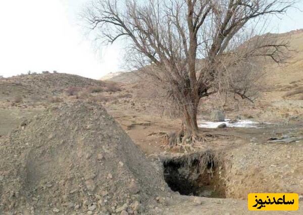 کنده درختی که گنج 12 هزار ساله بود+عکس