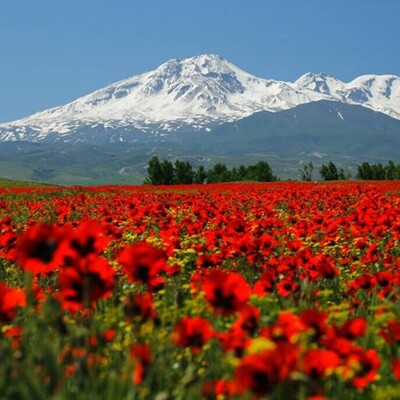 تصویری از زیبایی وصف‌ناپذیر قله‌ سبلان و دامنه‌ی پرنعمت و سرسبز آن+ویدئو