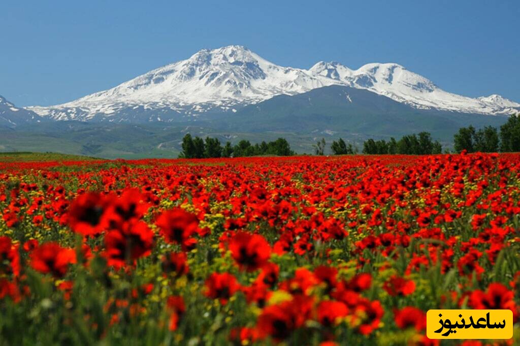 تصویری از زیبایی وصف‌ناپذیر قله‌ سبلان و دامنه‌ی پرنعمت و سرسبز آن+ویدئو