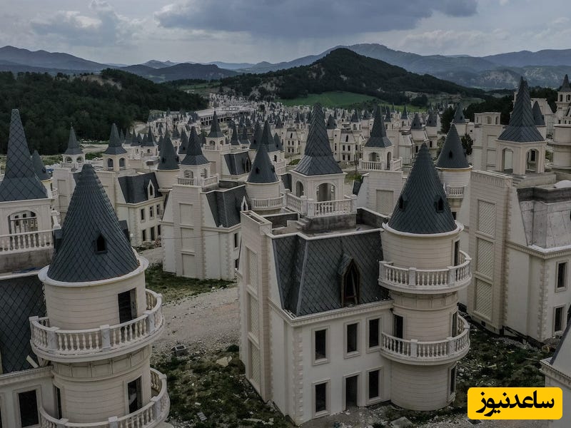 خانه هایی به شکل دیزنی لند