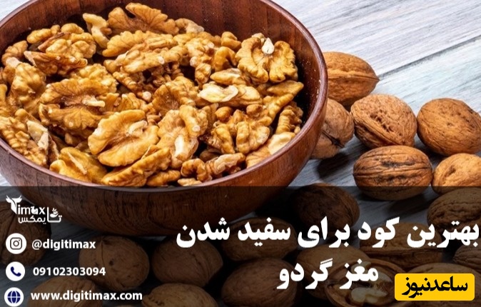 بهترین کود برای سفید شدن مغز گردو؛ مشاوره رایگان + برنامه غذایی