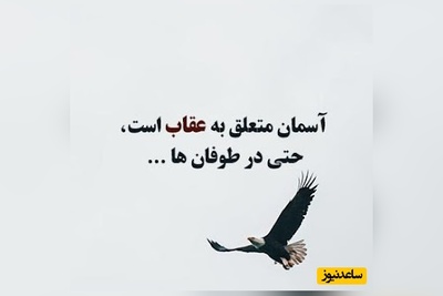 کائنات پیام ویژه ای برات داره؛ گاهی تنها کاری که باید بکنی این است: یک نفس دیگر بکش همین یک قدم کوچک می‌تواند تمام مسیر را تغییر دهد/ پیام انگیزشی امروز دوشنبه 17 آذر 1404