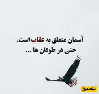 کائنات پیام ویژه ای برات داره؛ گاهی تنها کاری که باید بکنی این است: یک نفس دیگر بکش همین یک قدم کوچک می‌تواند تمام مسیر را تغییر دهد/ پیام انگیزشی امروز دوشنبه 17 آذر 1404