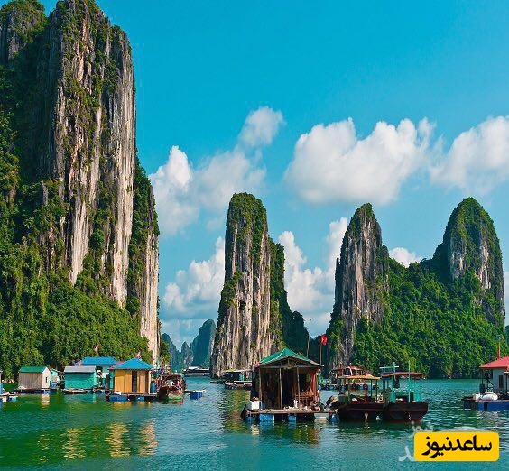 بورس های تحصیلی نیوزلند و شرایط اخذ آنها چیست؟+ مزایای تحصیل در نیوزلند