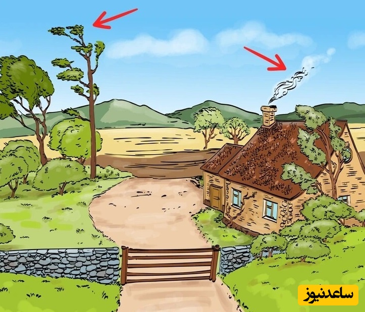 پاسخ معما