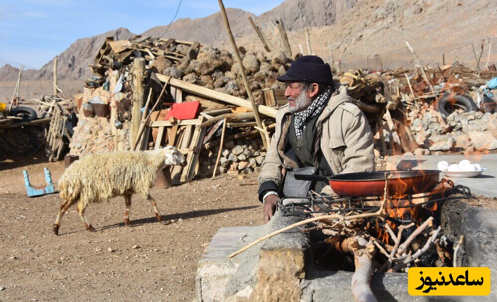 شاهکار تماشایی پیرمرد چوپان در صحرا با خوانندگی آهنگ اصیل +فیلم