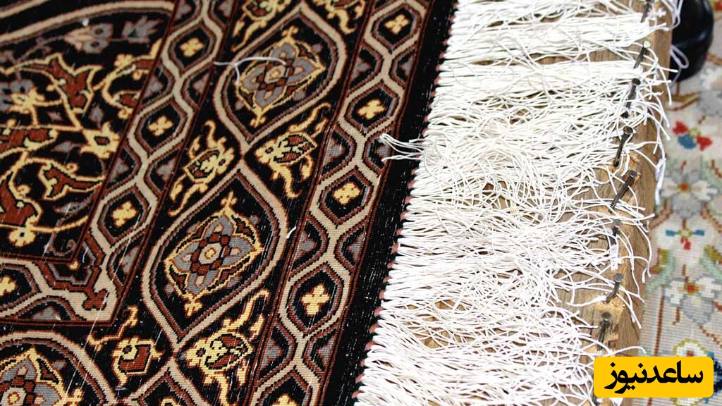  ریشه فرش 