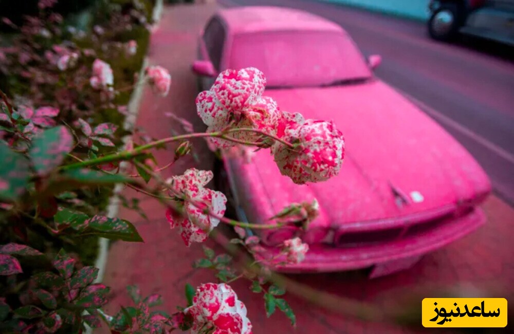 آتش در بندرعباس سیاه است، در لس‌آنجلس شاعرانه و صورتی!؛ روایتی از تبعیض رسانه‌ای + ویدیو