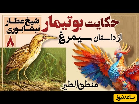 داستان‌های کوتاه و زیبایی که باید بشنوید/ منطق الطیر عطار، بخش 8؛ حکایت بوتیمار، پرنده غمگین، و هدهد/ کسی که به قطره‌ آب دلخوش است چگونه تا گنجینه بی پایان میرسد!