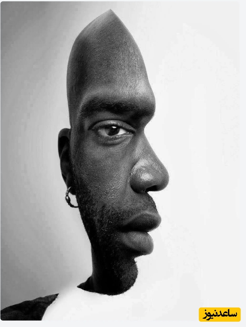 خطای دید؛ فقط افراد با آی‌کیو بالا می‌توانند حیوان داخل این عکس را پیدا کنند / فقط تیزبین‌ها بیان اینجا