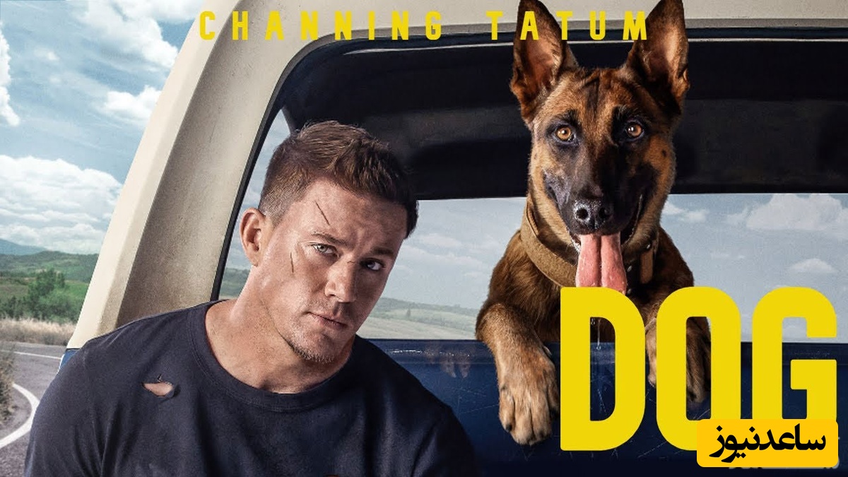 نقد فیلم سینمایی سگ (Dog)