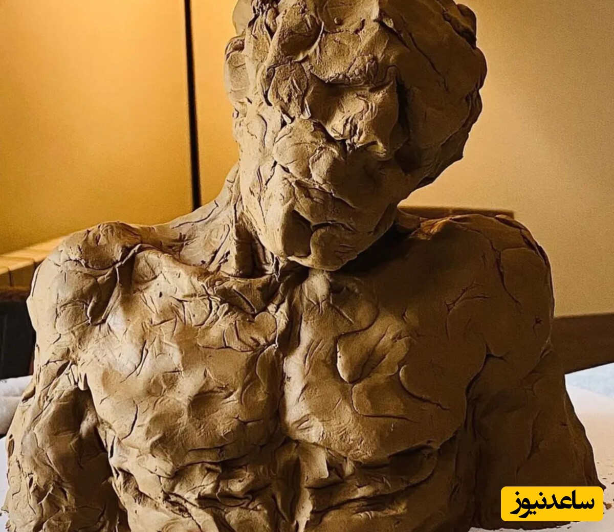 مجسمه پارسا پیروزفر 
