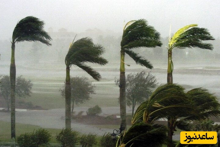 دیدن باد در خواب چه تعبیری دارد؟ / تعبیر خواب باد