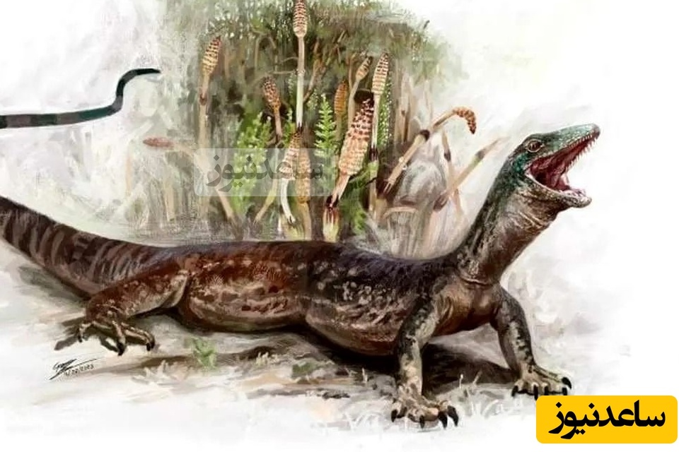 کشف یک سوسمار 167 میلیون ساله با ظاهر مارگونه!