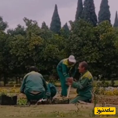 (فیلم) آواز شیرازی کارگر زحمت کش شهرداری موقع کاشت گل در یک بوستان / مرسی که شهرها رو زیبا می کنید ...