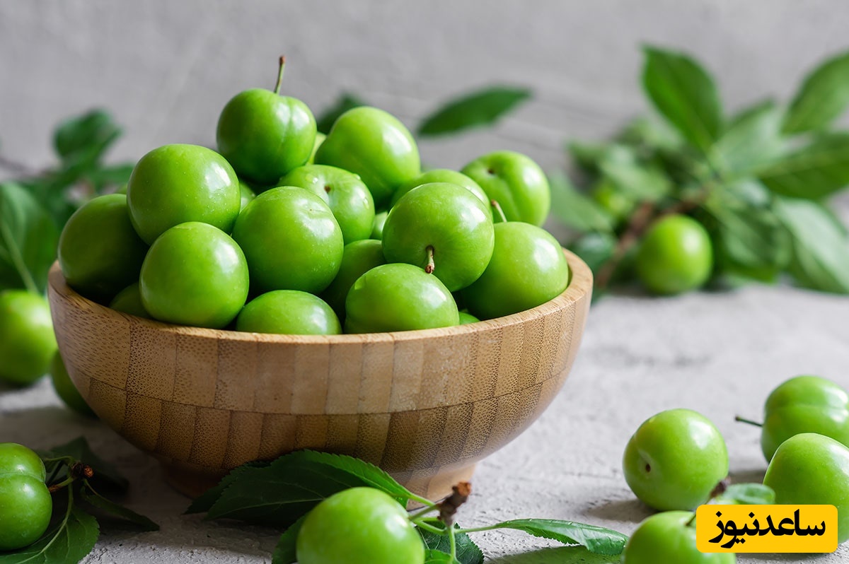 آموزش کاشت گوجه سبز توی خونه بدون باغچه | نتیجه عالی با این روش! + ویدئو