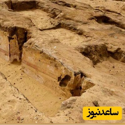 (تصاویر) کشف مقبرۀ 4300 ساله با نقاشی «گلّه‌ی الاغ‌ها»