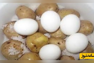 آیا تخم مرغ و سیب زمینی باهم سمی می‌شوند؟