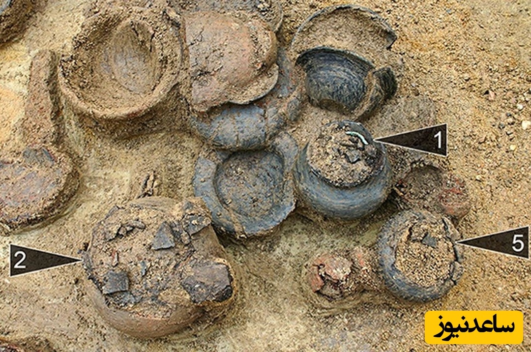 «گنج گردنبند سوسکی» بعد از 2500 سال از یک مقبره بیرون آمد