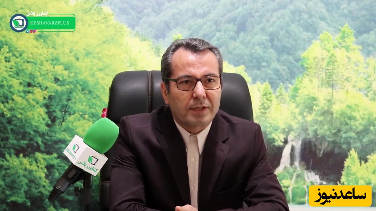 (ویدیو)‌  سخنان جنجالی مدیر عامل اتحادیه دامداران/ یک ماه دیگر با این شیوه تامین نهاده جلو برویم، عشایر دام‌های مولد خود را به کشتارگاه خواهند فرستاد!