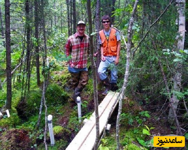 آشنایی با رشته علوم و مهندسی جنگل و بازار کار آن