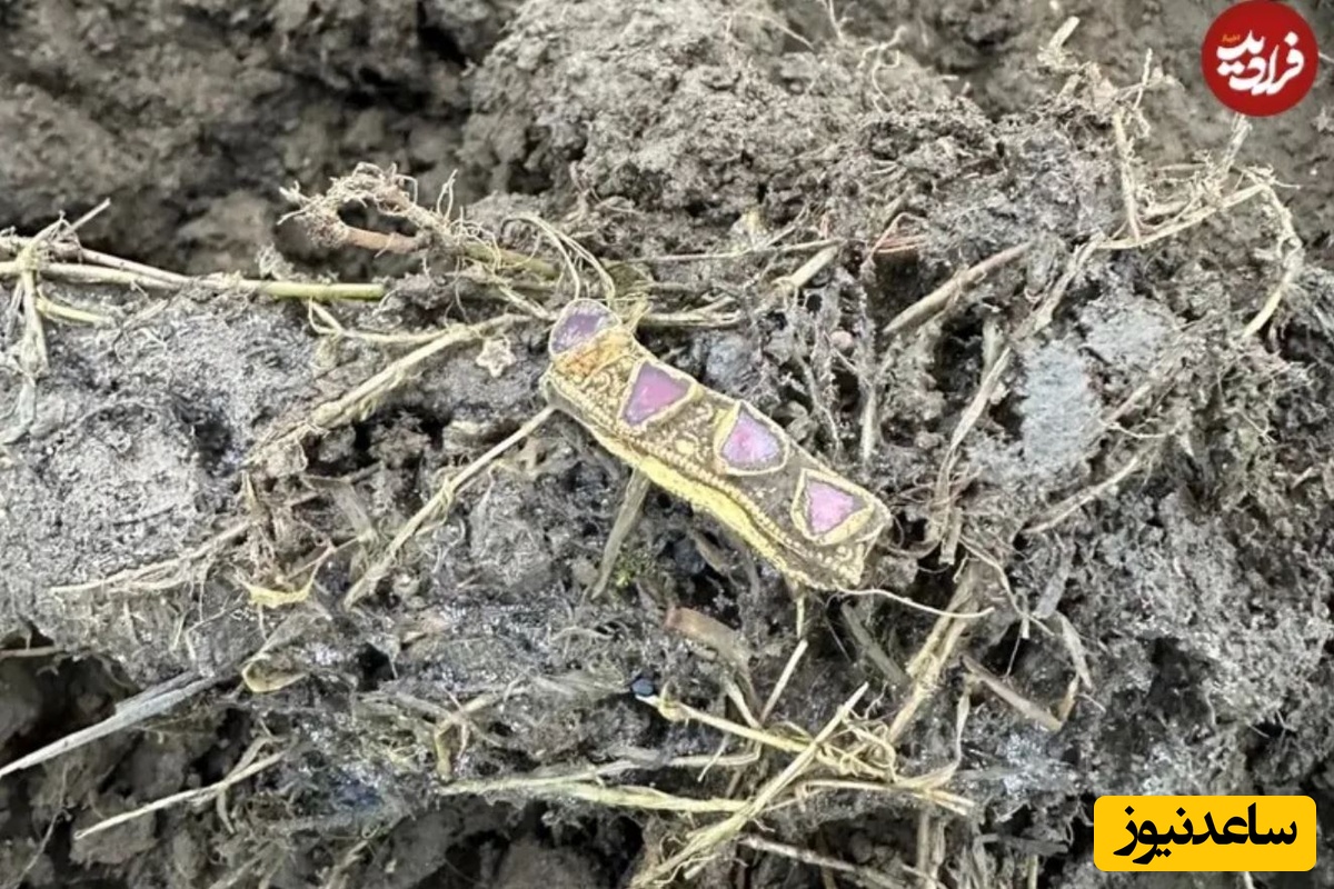 در جریان کاوش‌ها یک نوار طلایی نیز کشف شد