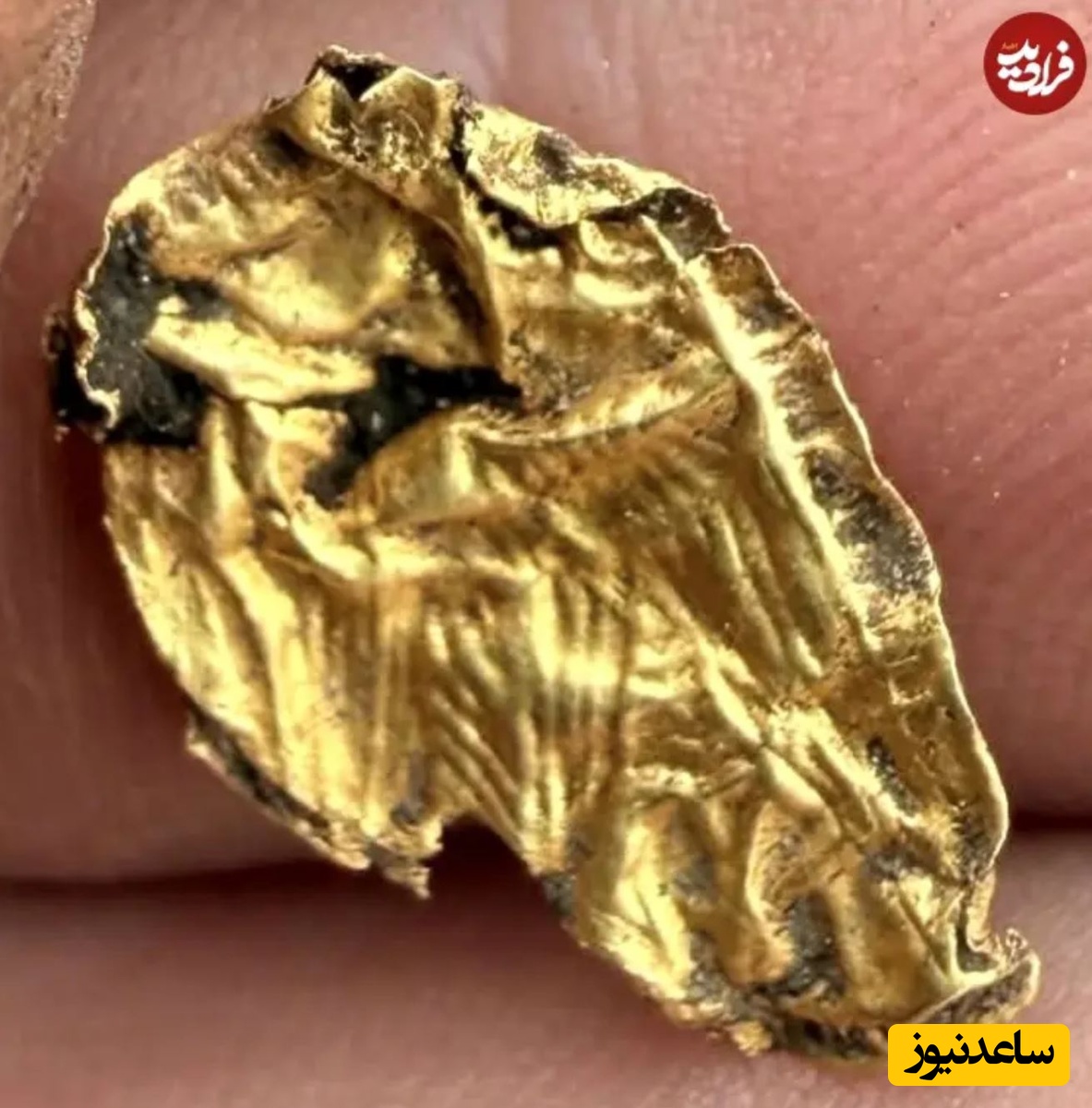 پیرمرد کوچک طلایی