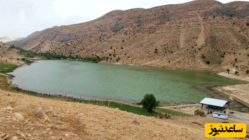 نگاهی به زیبایی های دریاچه مور‌ زرد شگفتی های چشم‌نواز طبیعی در یاسوج! + عکس