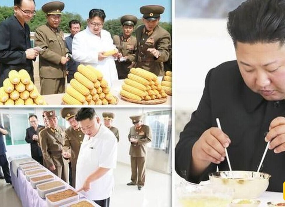 رهبر کره شمالی چه می‌خورد؟ گران‌ترین استیک، کمیاب‌ترین قهوه و عجیب‌ترین نوشیدنی