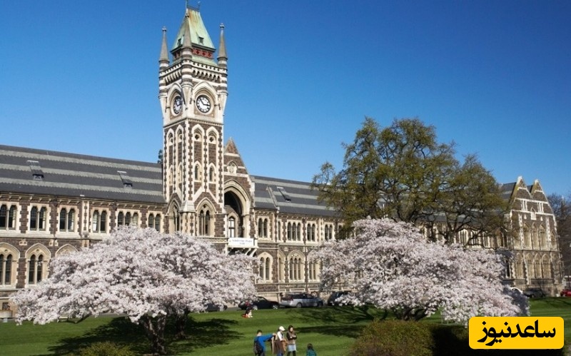 دانشگاه اوتاگو (University of Otago)