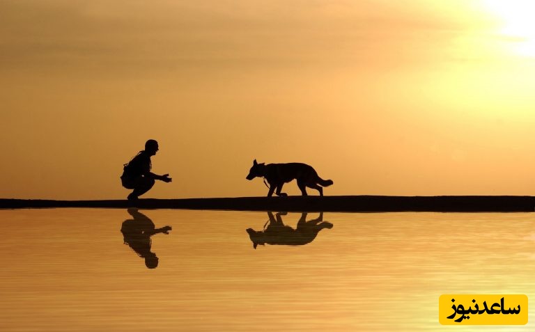 مستند حیات وحش؛ حیوانی که درست مثل یک روح در ایران زندگی می‌کند/ کشفی بزرگ در دنیای حیوانات