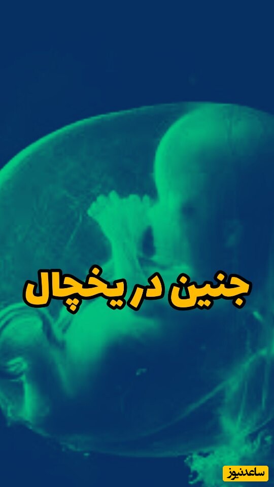 کشف شوکهکننده جسد یک نوزاد در فریزر خانه بعد از 37 سال؛ فکر میکردم تزیین کیک هست + ویدئو
