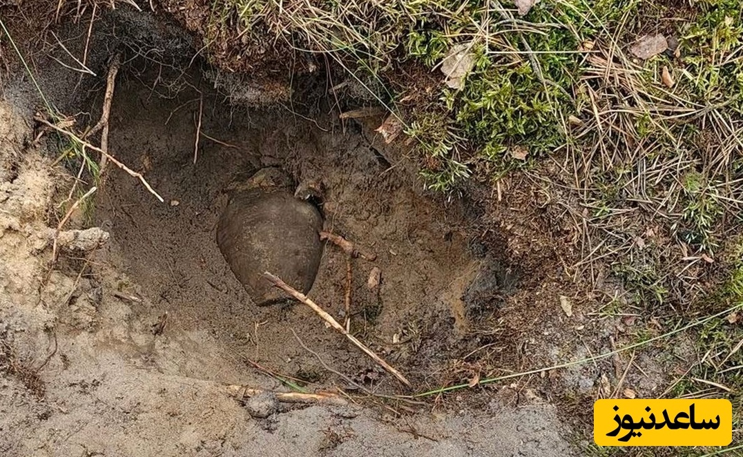 جستجوگرانی که به دنبال «موشک» می‌گشتند، دو «کوزۀ گنج» پیدا کردند