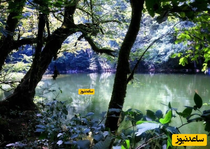 دریاچه فراخین