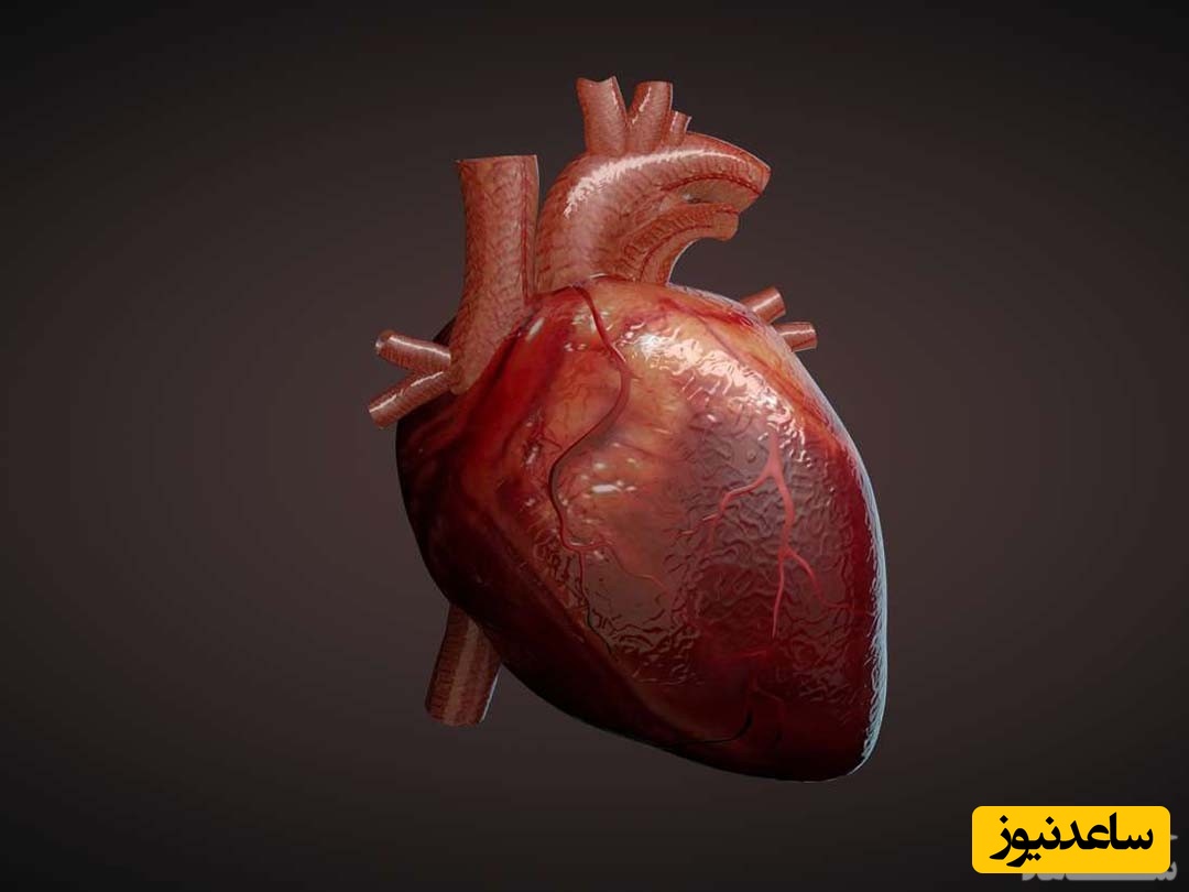 دیدن دل در خواب چه تعبیری دارد؟ / تعبیر خواب دل