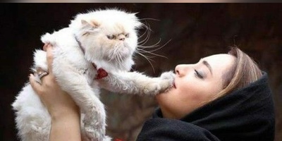 پشت پرده زندگی سلبریتی‌های ایرانی با پت‌های محبوبشان؛ از گربه‌های معلول نیما شاهرخ‌شاهی تا گربه زیبای نرگس محمدی و سگ دوست‌داشتنی پیمان معادی!
