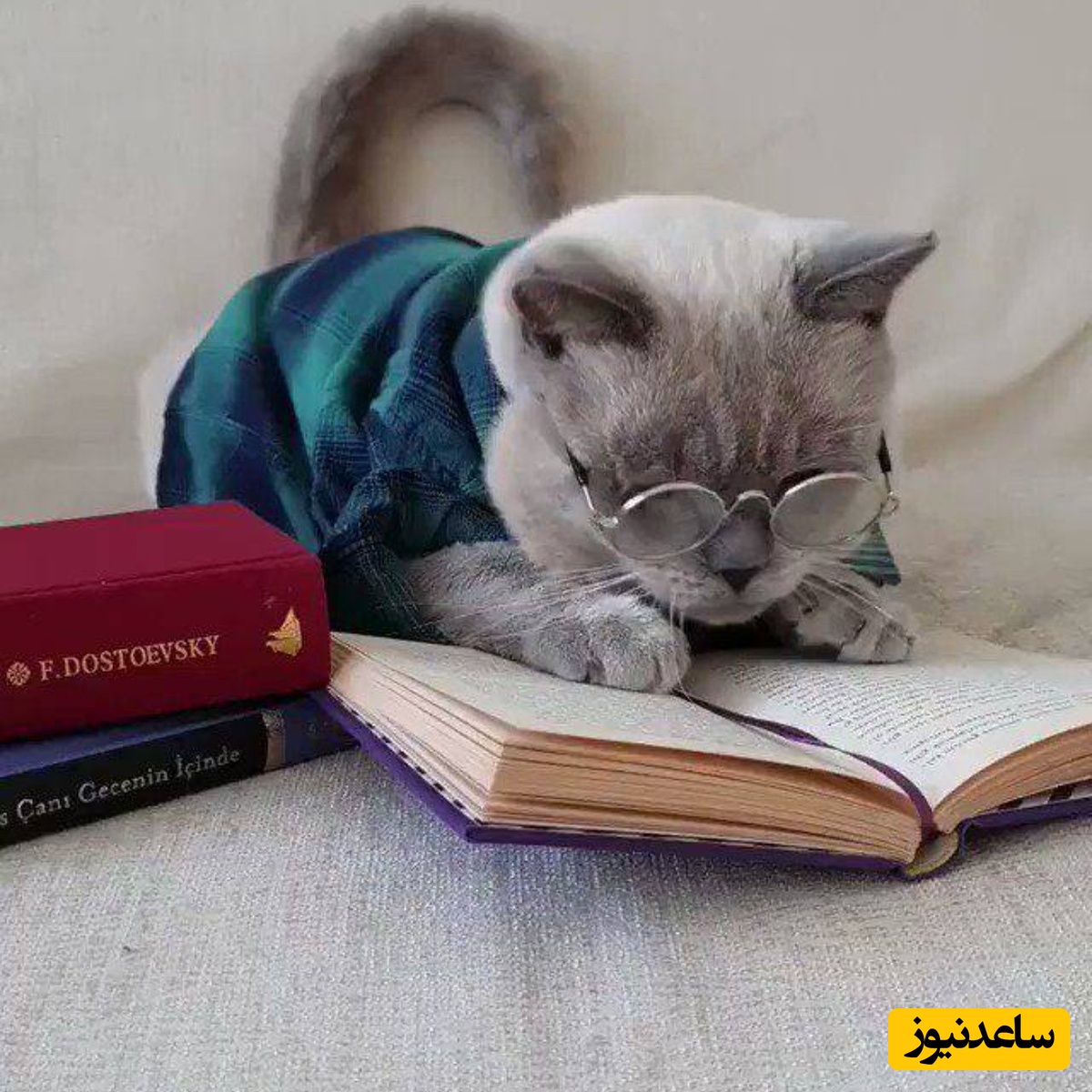 خلاقیت خنده دار پدر ایرانی برای کشاندن فرزندانش پای درس و مشق با قدیمی ترین شیوه تربیتی/ بچه مگه جرات داره درس نخونه!😂+عکس