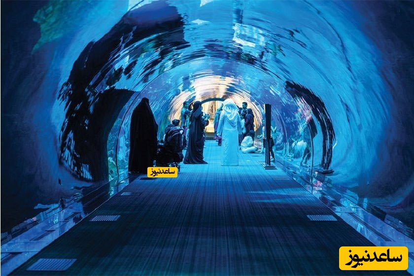 آکواریوم لاست چمبرز دبی کجاست؟