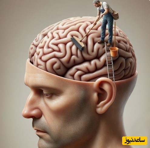 (ویدیو) اگه زندگی رو زیادی جدی بگیرین مغزتون کم‌هوش تر میشه!/ زنگی بازیه، بازی‌ که ارزش بردن داره!