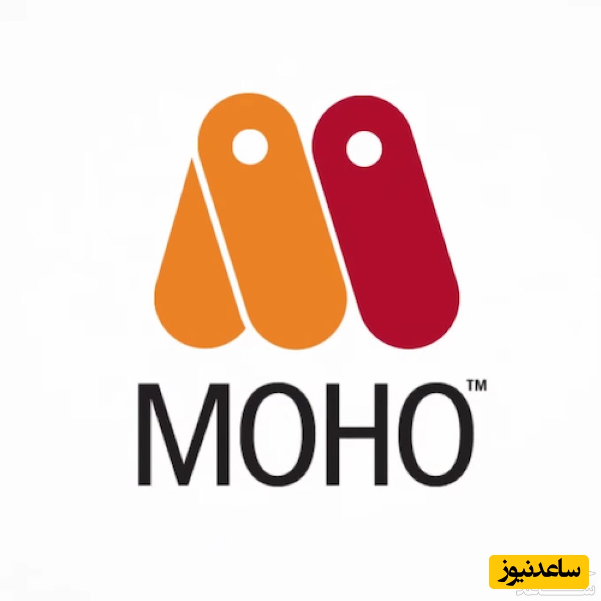 معرفی صفر تا صد نرم افزار انیمیشن سازی موهو MOHO/ این برنامه چه ویژگی های خارق العاده‌ای دارد؟