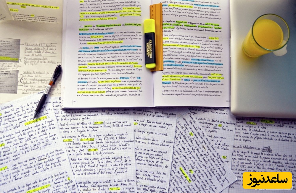 دانستن این فعل ها در زبان ترکیه حتما به دردتان میخورد