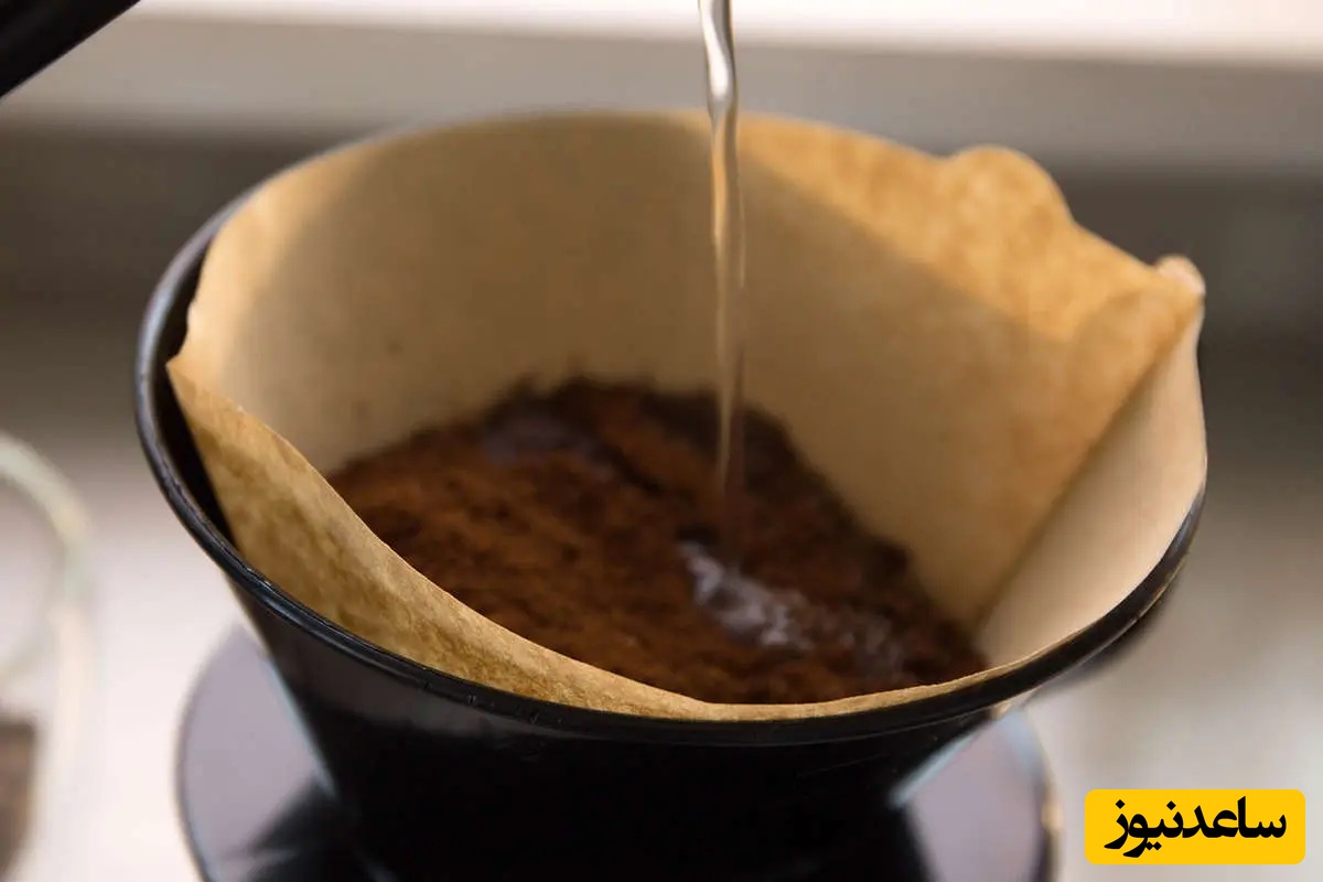 چطور با فیلتر قهوه سلامت ریشه گیاهان خود را تضمین کنید؟