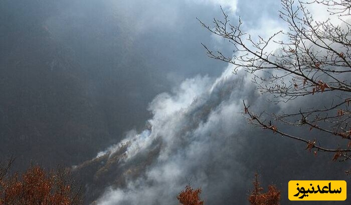 (ویدیو) اولین لحظه از ورود هواپیمای ایلوشن به عملیات مهار آتش در جنگل‌های هیرکانی چالوس!