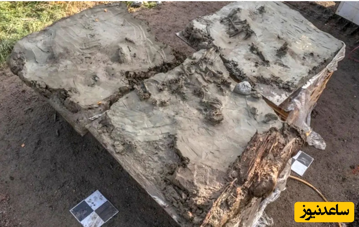 کشف قبر 5 هزارسالۀ یک «سگ» که همراه با «خنجر» دفن شده است