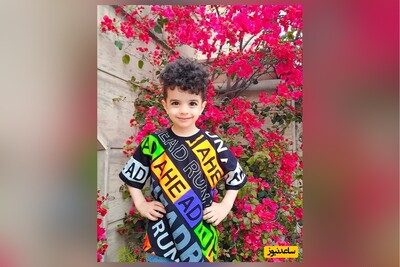 ویدئو/نگاهی به چیدمان منزل شاهانه و مجلل مهدیار کلائی «سالارِ پایتخت» / از مبلمان سلطنتی و مدرن و حیاط سرسبز شمال تا تابلوهای هنری و پرده‌های اعیانی+ تصاویر