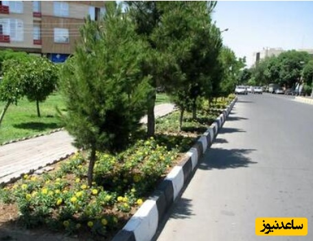 خلاقیت زیبای شهرداری برای حفاظت از گل‌ها در شهر حماسه آفرید/ هنر نزد ایرانیان است و بس