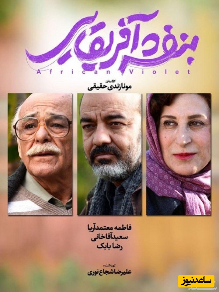 معرفی فیلم بنفشه آفریقایی